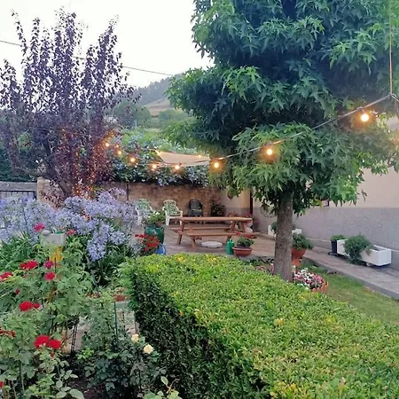 La Flor De Toranzo 